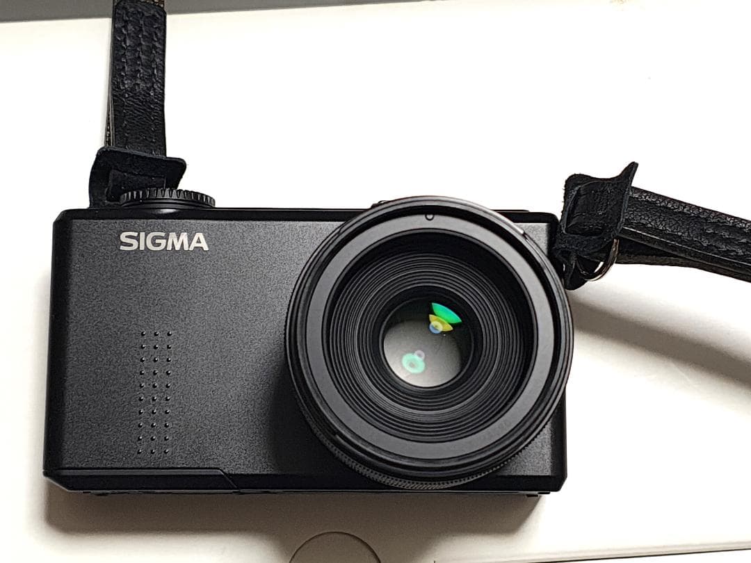 SIGMA DP3 Merrill 、純正フード、ボディースーツ 、フィルター等