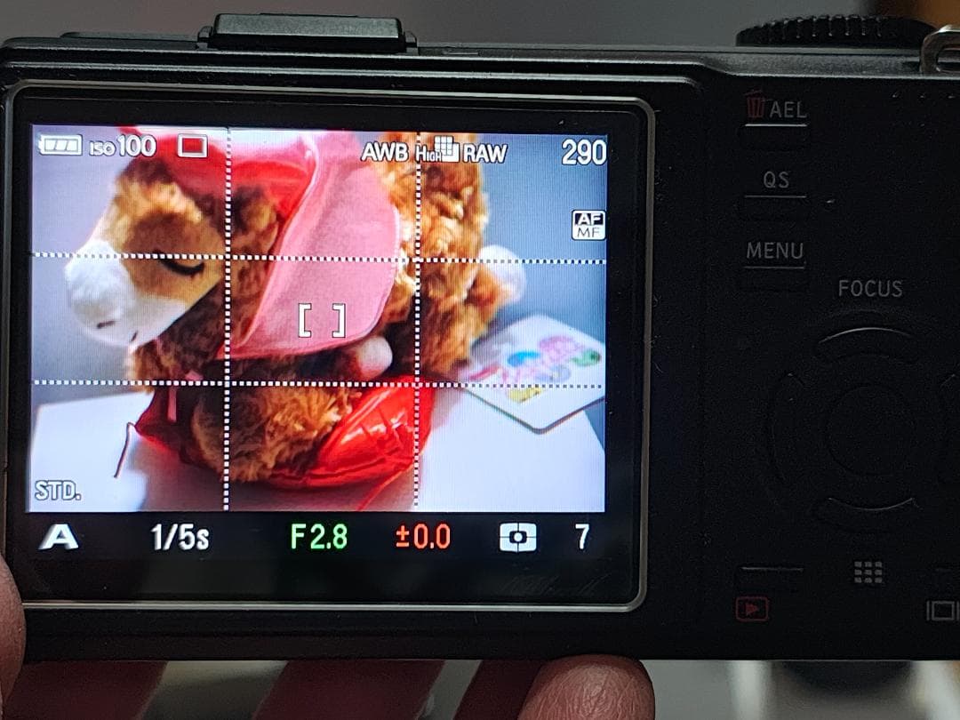 SIGMA DP3 Merrill 、純正フード、ボディースーツ 、フィルター等