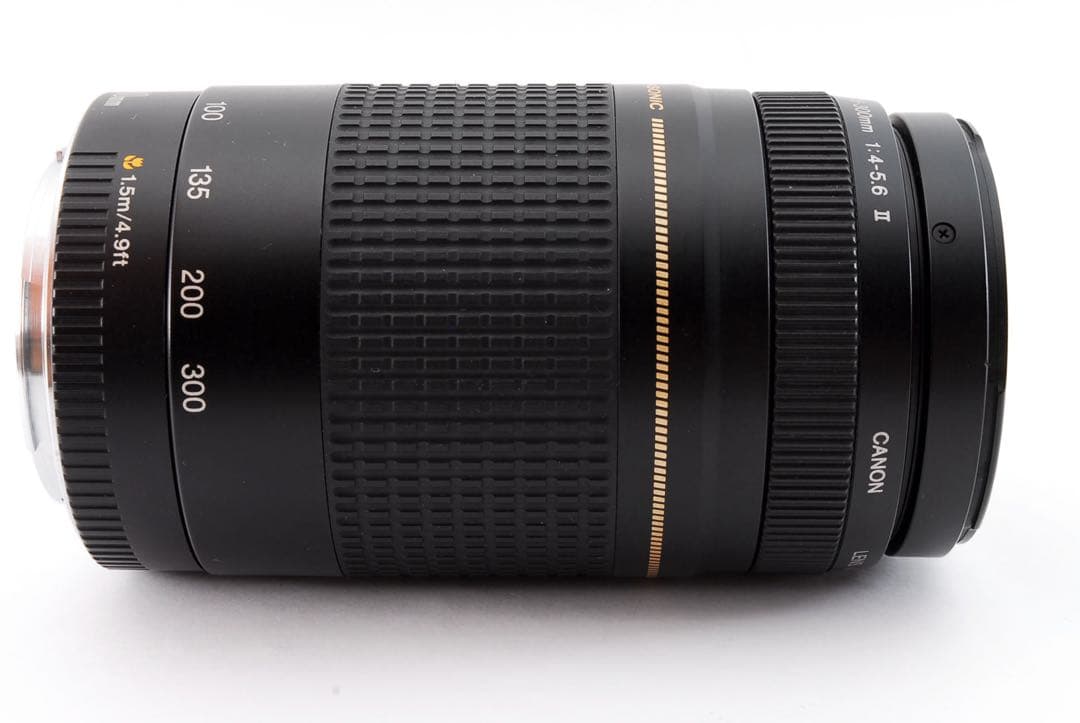 Canon EF 75-300mm F4-5.6 Ⅱ USM