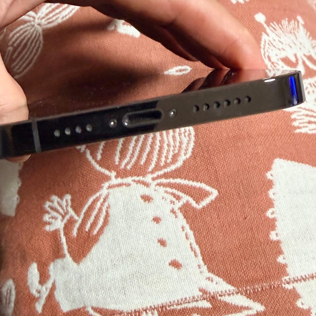 【美品】iPhone 12 Pro Max 256GB グラファイト おまけ付き
