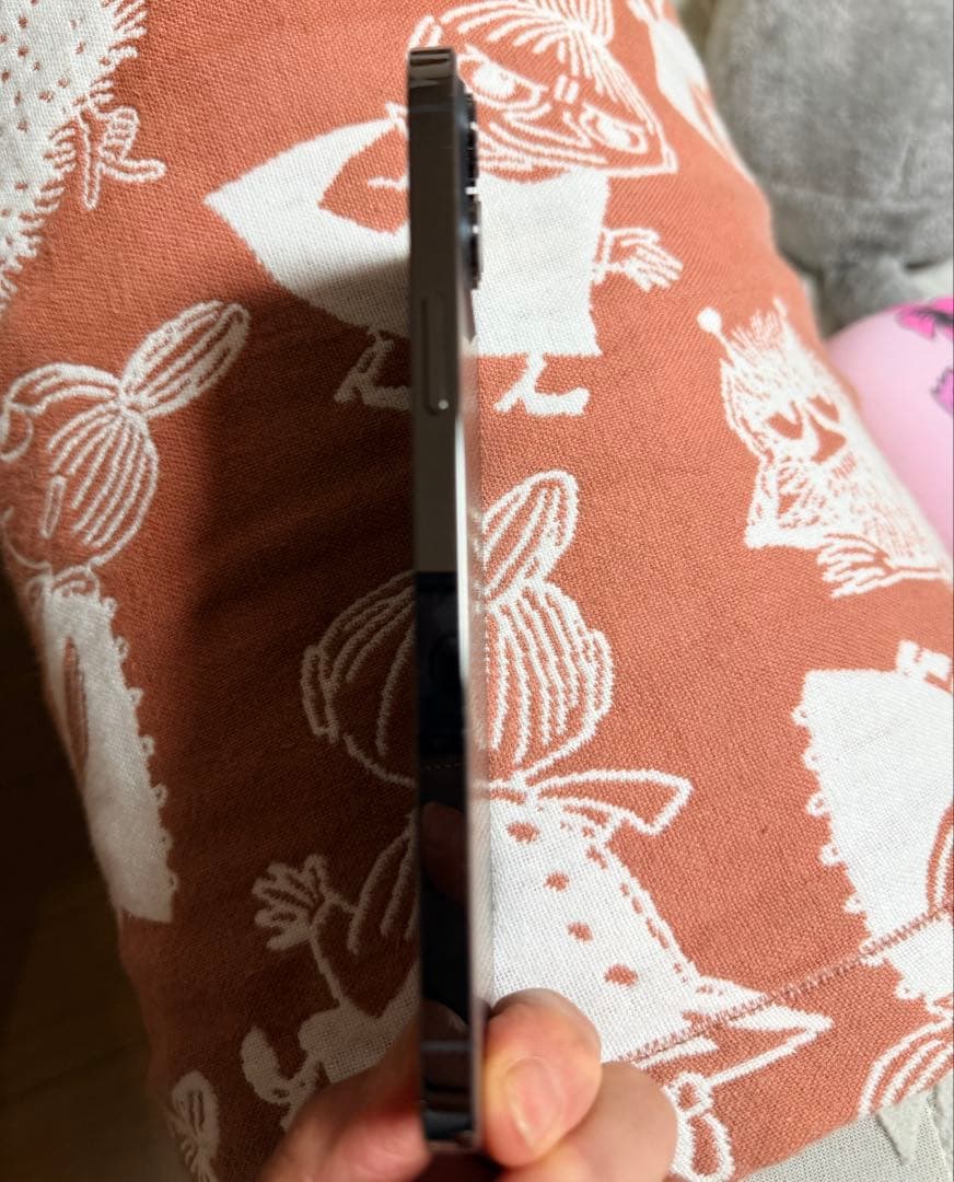 【美品】iPhone 12 Pro Max 256GB グラファイト おまけ付き