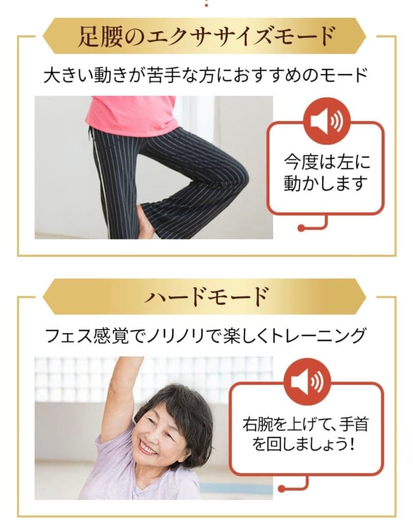 【新品未使用】ブルブルボーテ プレミアム　ダイエット　運動に　日テレポシュレ
