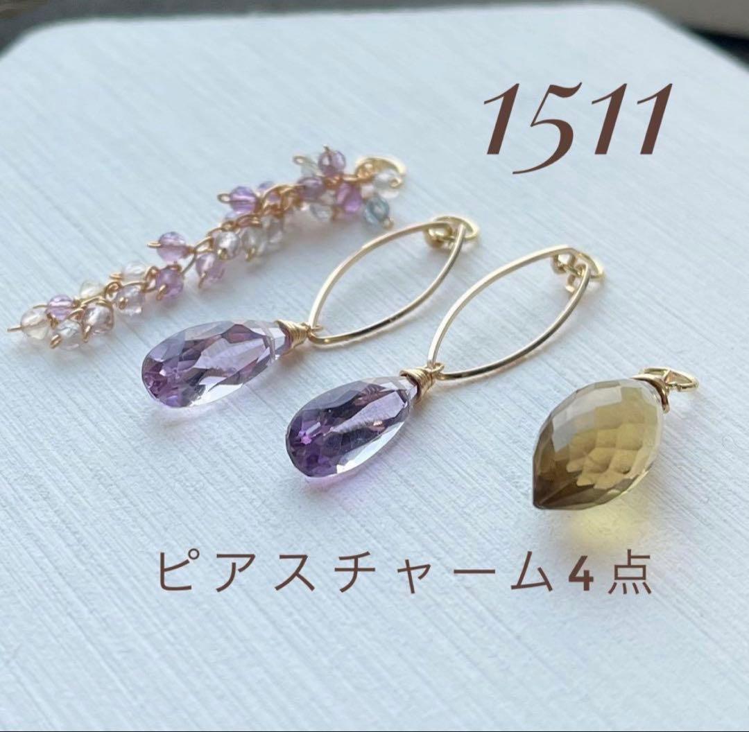 dino13専用