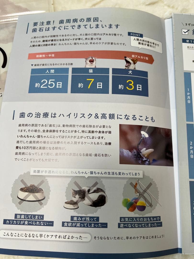 犬猫生活　新品未開封品　犬猫デンタルパウダー 　2袋セット
