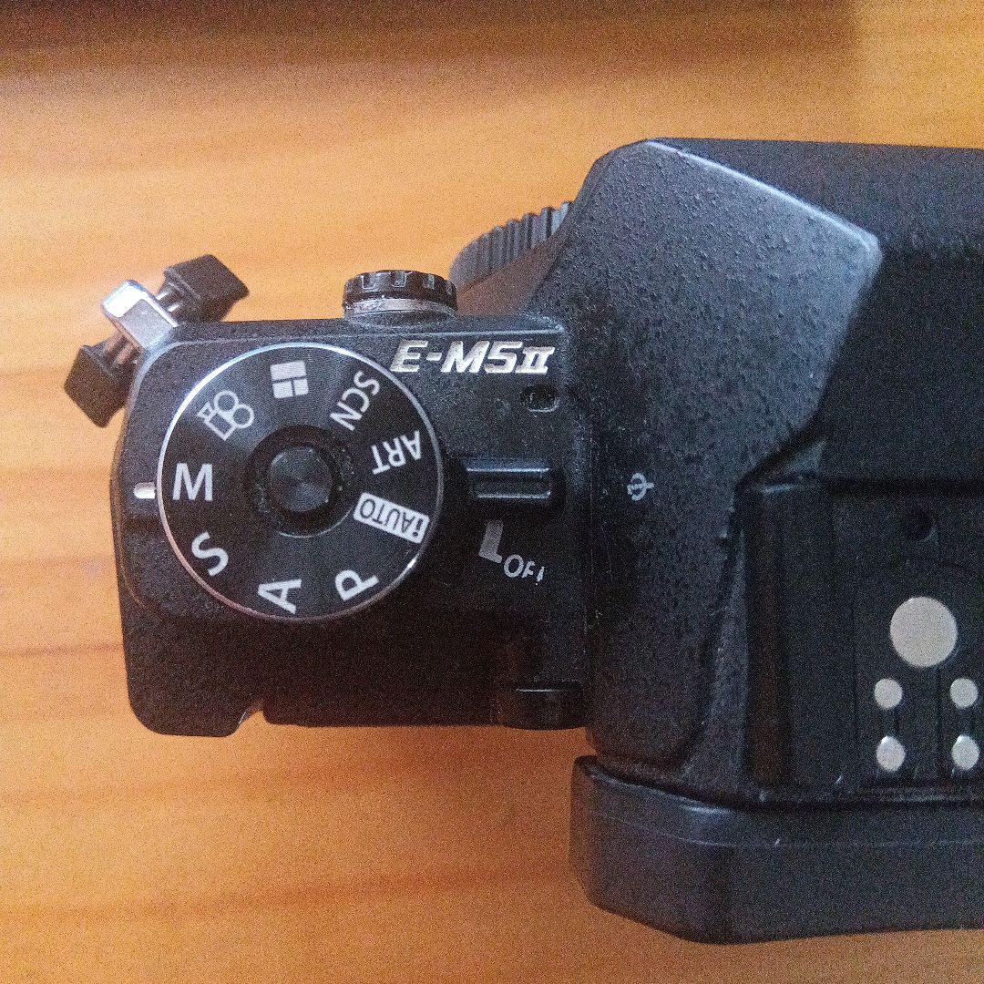 OLYMPUS OM-D E-M5 Mark II ブラック　バッテリーグリップ