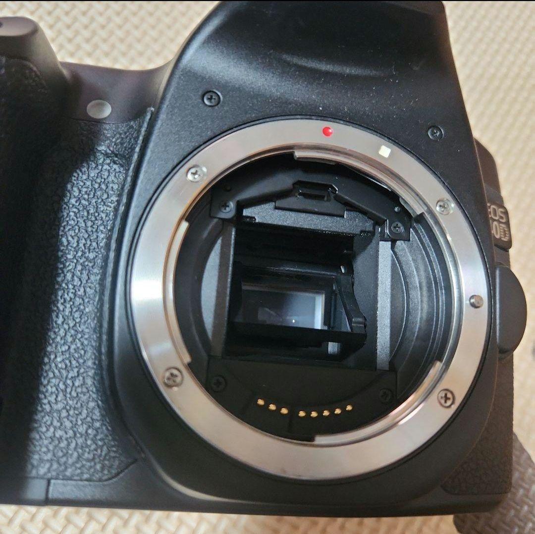 Canon EOS 40D デジタル一眼レフカメラ