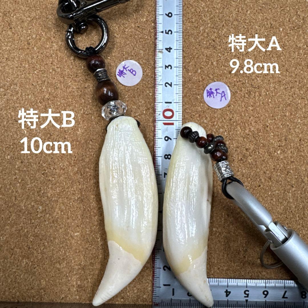 専用.確認ページ