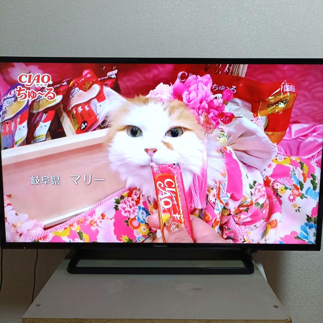 Panasonic[2017年品]TH-43E300