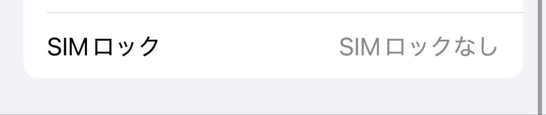Apple iPhone 12 mini 256GB SIMフリー 極美品