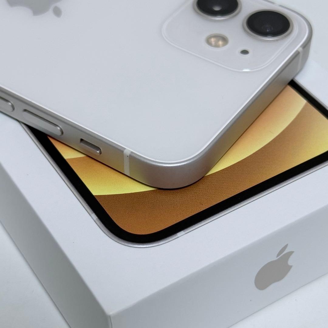 Apple iPhone 12 mini 256GB SIMフリー 極美品