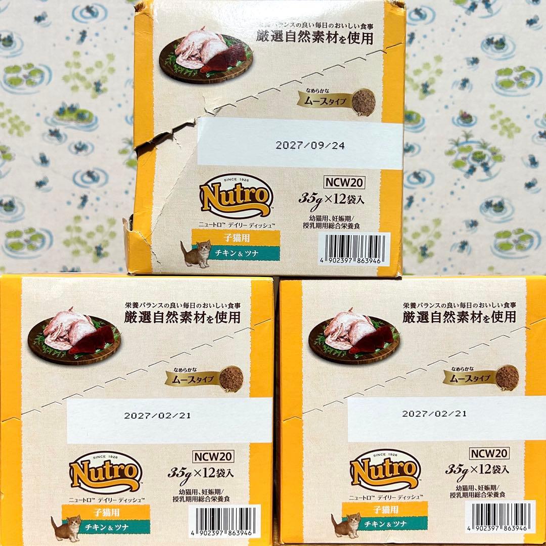 子猫用ウェットフード　まとめ売り