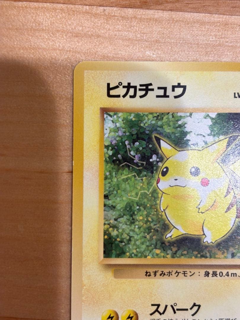 【美品】ピカチュウ ● 第2弾拡張パック ポケモンジャングル