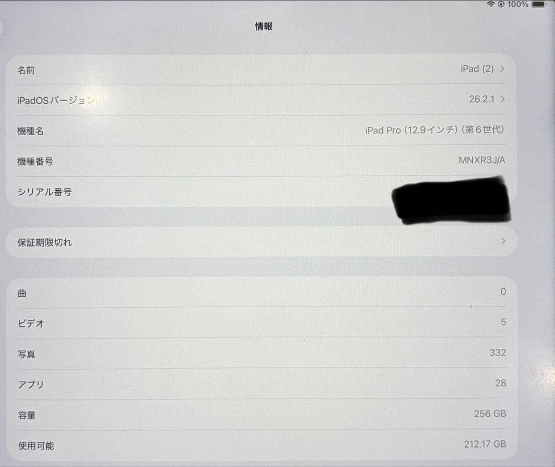iPad Pro 12.9インチ 第6世代 256GB ApplePencil付