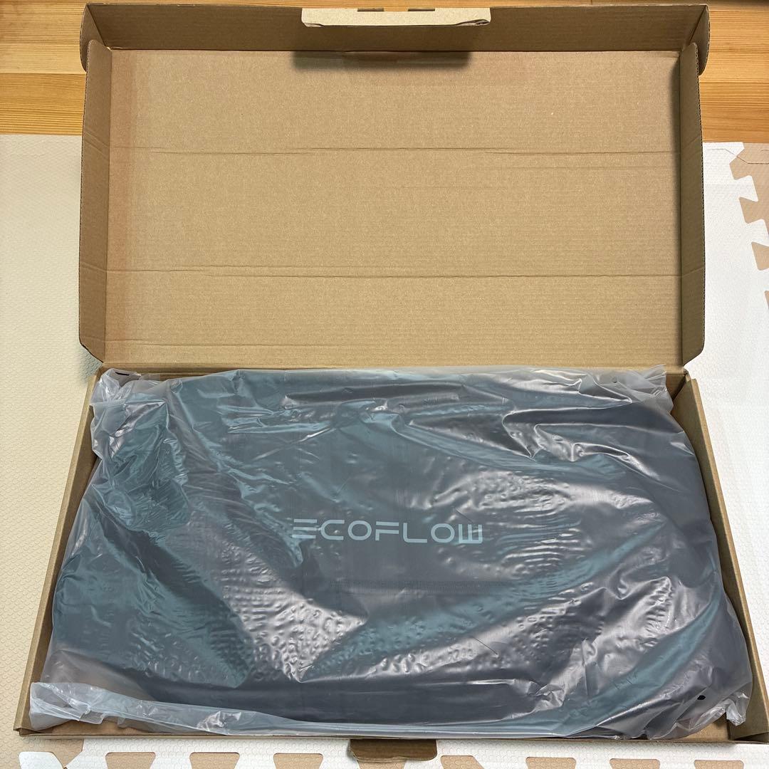 EcoFlow black bag DELTA2Max 専用ケース