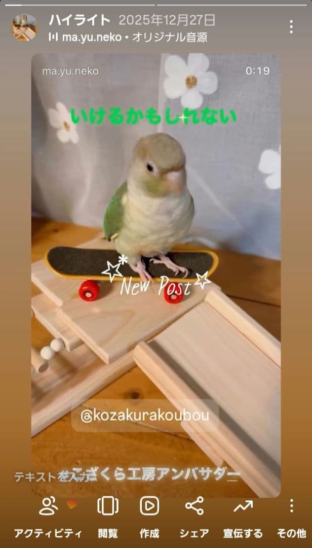 20⭐　滑り台大サイズ‼　 バードトイ　インコ　文鳥　スケボー