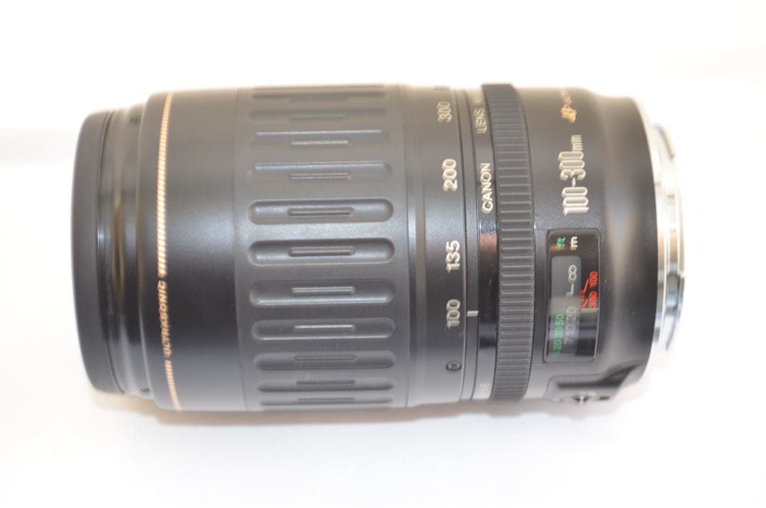 極上級■Canon EF 100-300mm F4.5-5.6 USM