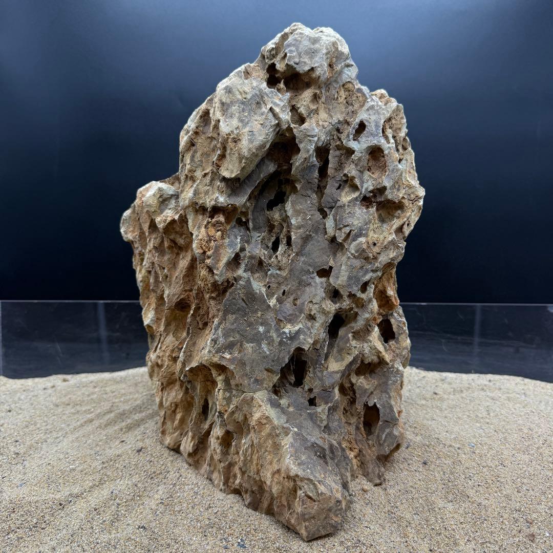 MQS-6873 特大気孔石1点物　32cm 黄虎石　水槽用石　アクアリウム