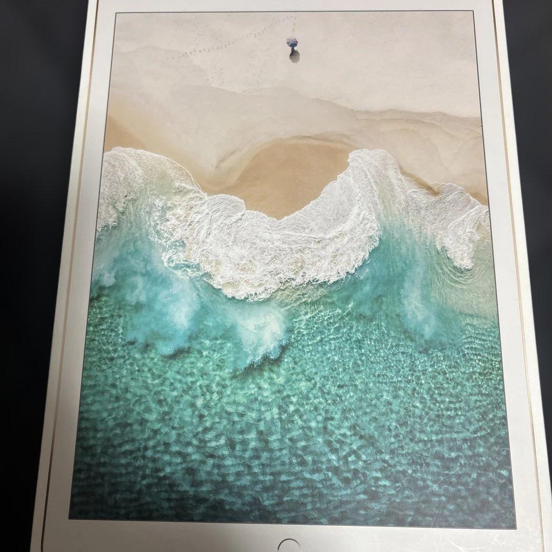 iPadPro12.9 第二世代WI-FI セルラーモデル　512GB