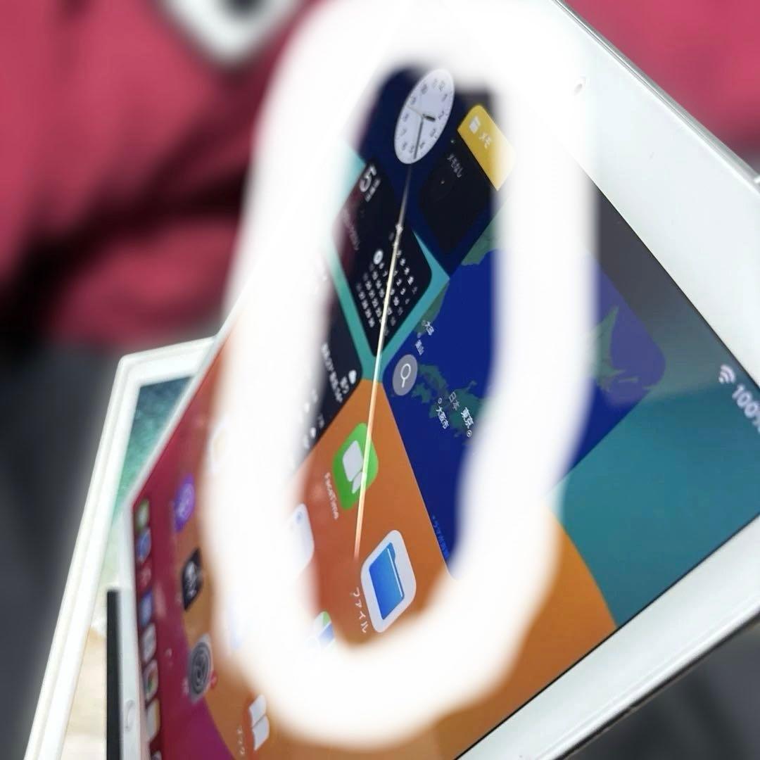 iPadPro12.9 第二世代WI-FI セルラーモデル　512GB