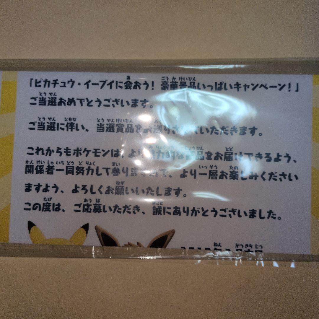 あばれる君 当選通知書付