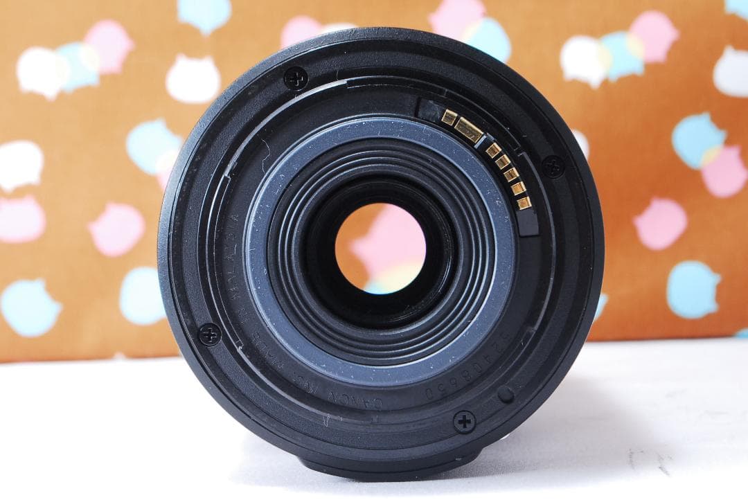 ✨美品✨Canon EF-S 55-250mm F4-5.6 IS