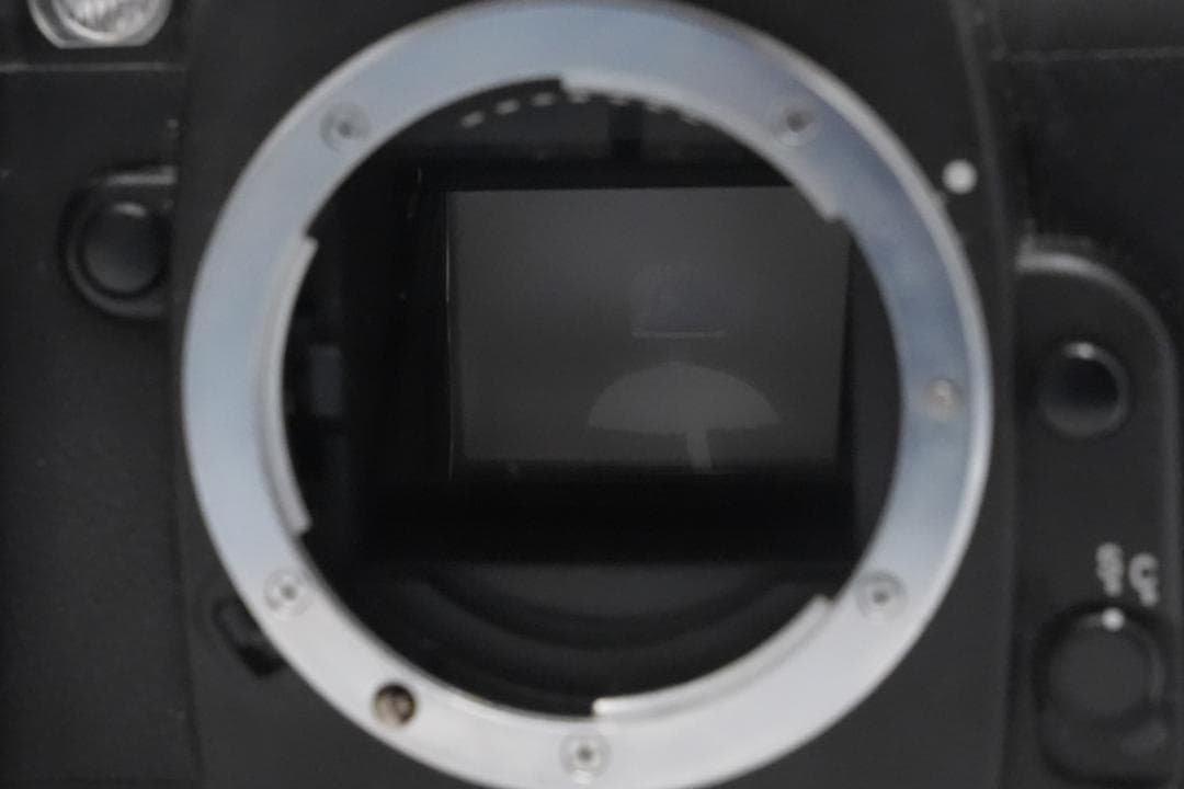 Nikon ニコン F80 ボディ フィルムカメラ