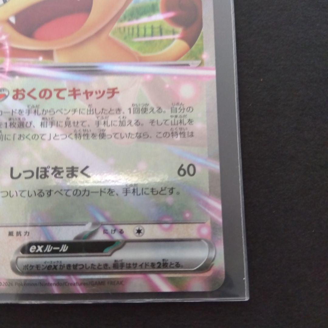 ニャース　SAR、RR