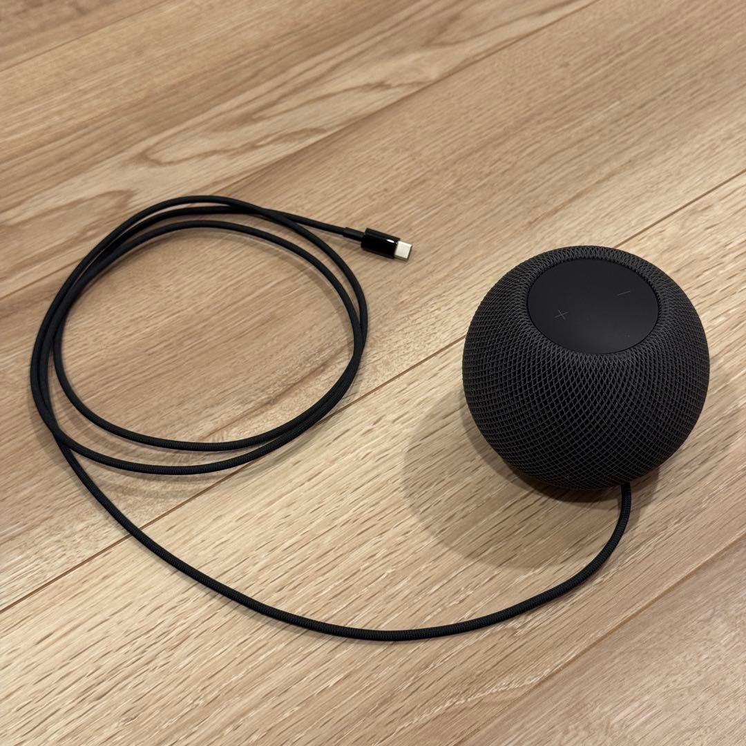 【美品】Apple Pod mini ブラック
