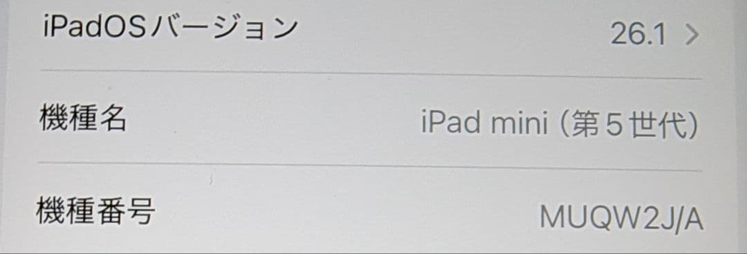 【美品】Apple iPad mini 第5世代 64GB A2133