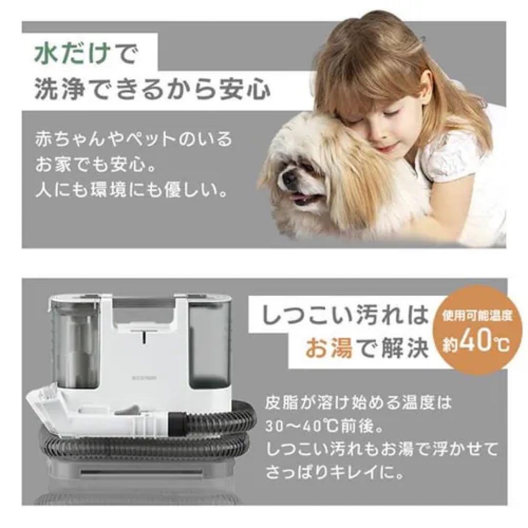 【美品】アイリスオーヤマ　リンサークリーナー　RNS-P10-W