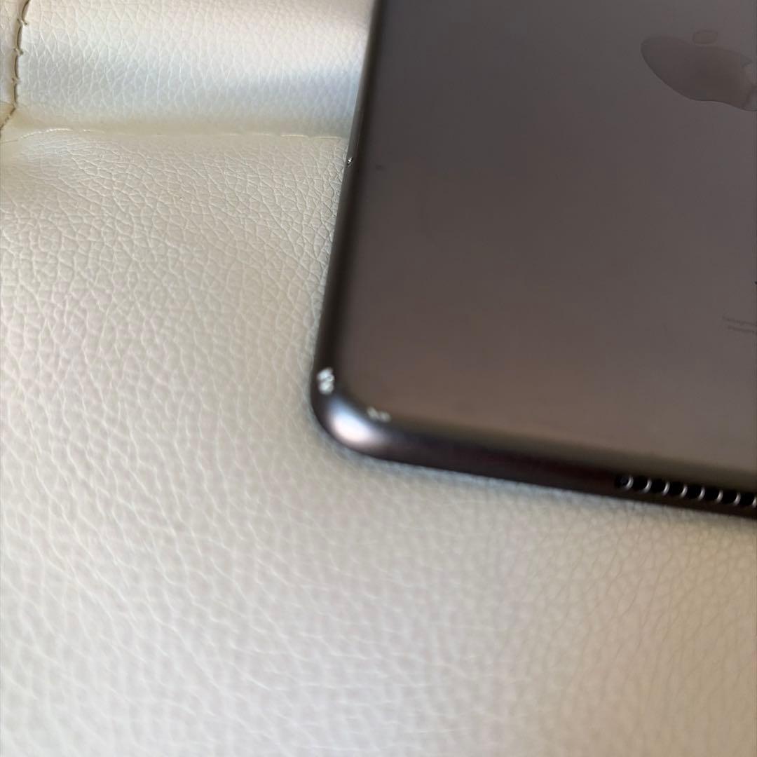 iPad mini 5 Wi-Fi &セルラーモデル256G