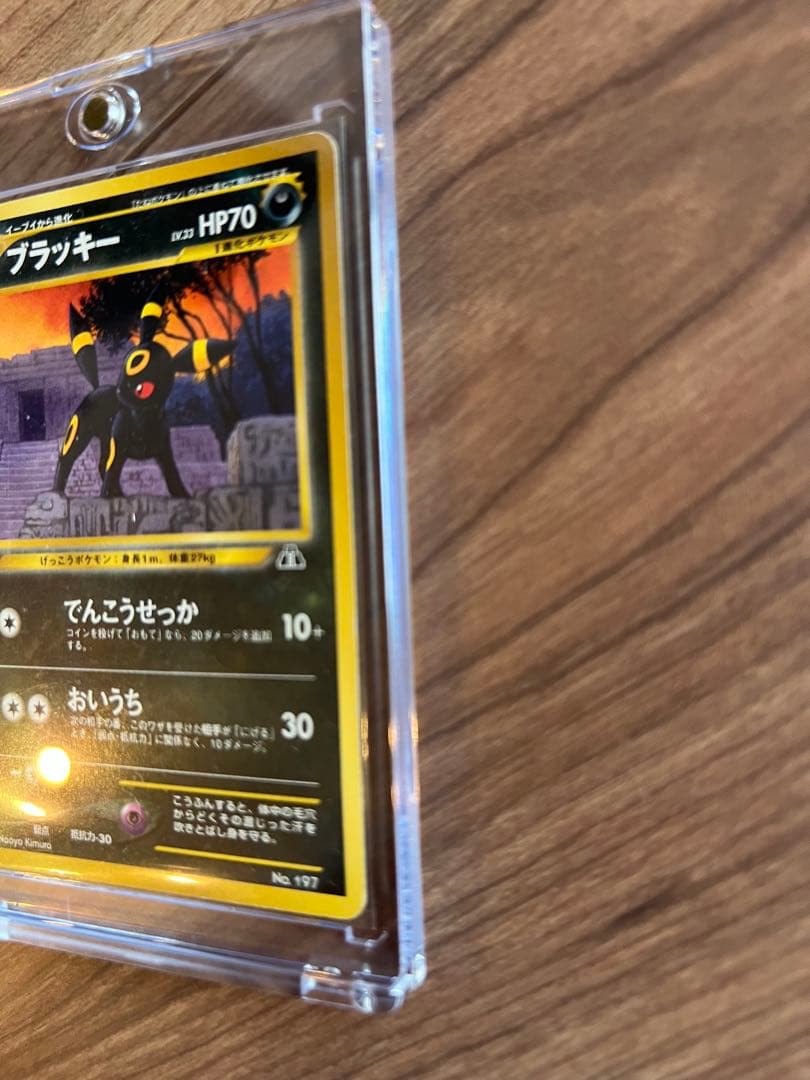 ポケモンカード　旧裏　イーブイ　エーフィ　ブラッキー　セット