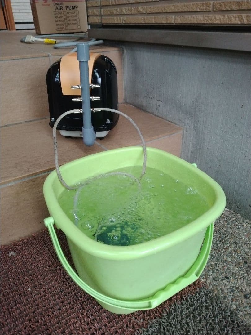 【安永（AP-60F）60L】062 ダイアフラム　エアポンプ　ブロワー　浄化槽