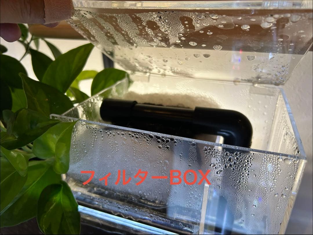 45cmガラス水槽用 上部濾過式アクアリウム水槽　アクアポニックス仕様