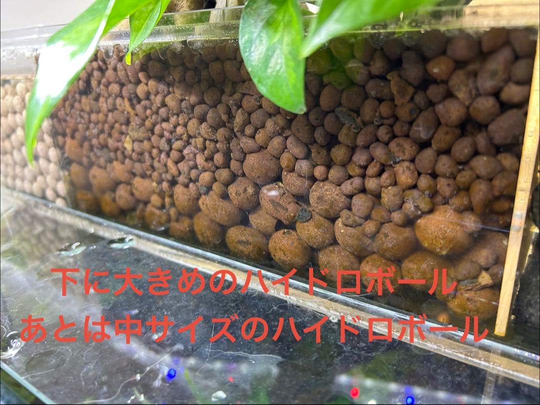 45cmガラス水槽用 上部濾過式アクアリウム水槽　アクアポニックス仕様