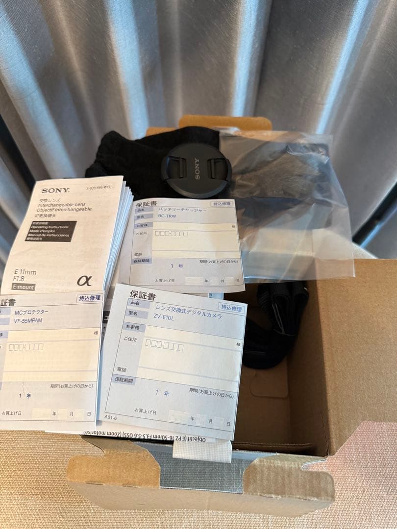 SONY ZV-E10L ブイログ
