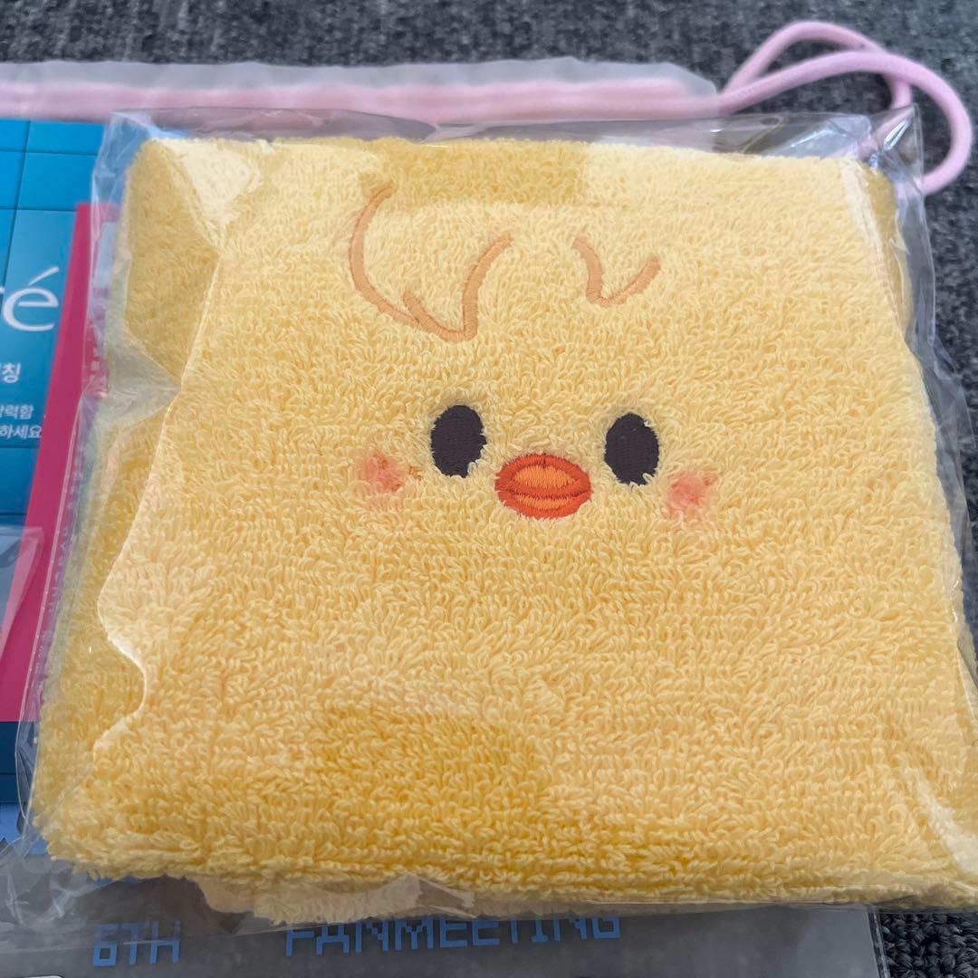 StrayKids ペンミ 入場者特典　抜けなし