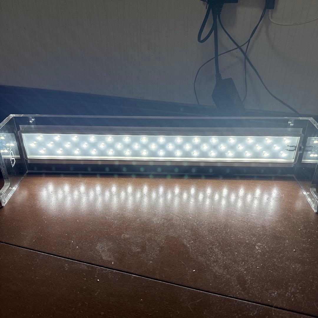 希少ADA 451 / 中古品
