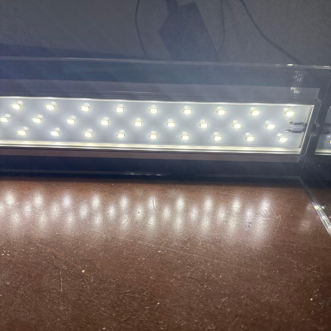 希少ADA 451 / 中古品