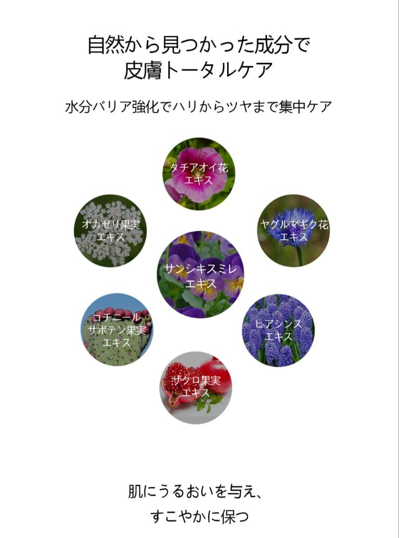 お値下げ❣️【正規品】ルビーセル ステムシリーズ エッセンス＆クリーム