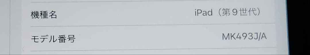 Apple iPad 第9世代 Wi-Fi+Cellular au版
