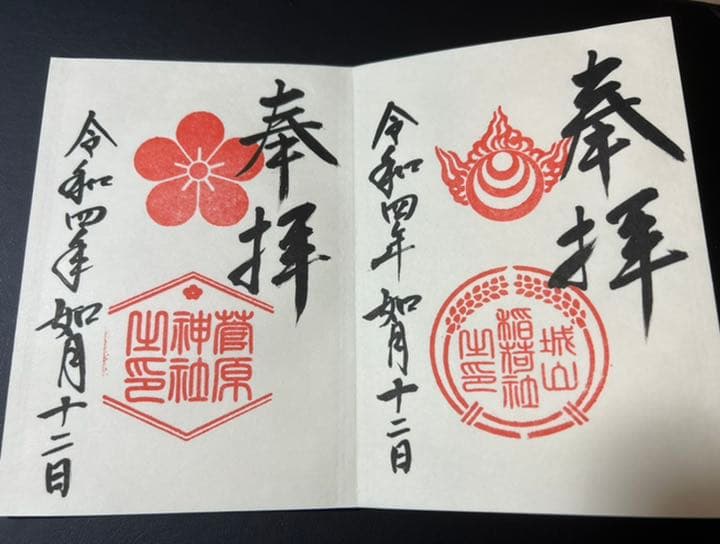 阿智神社♡人気御朱印帳　阿智神社で頂ける御朱印６体付き　御朱印