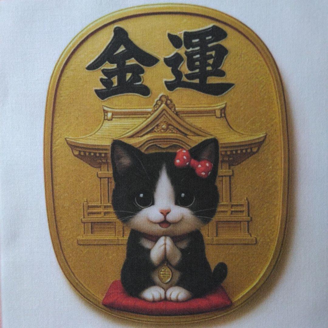 ☆受付☆猫