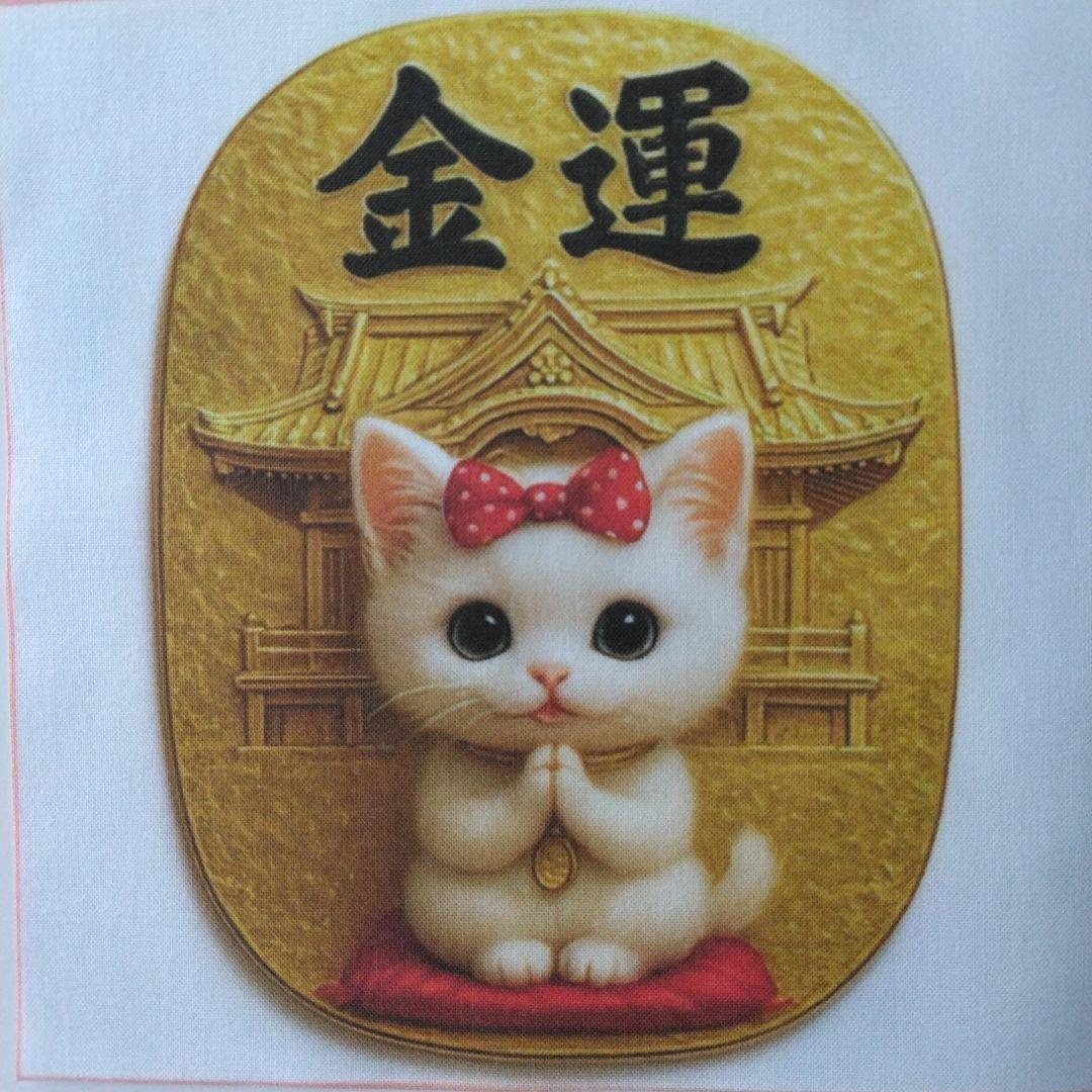 ☆受付☆猫