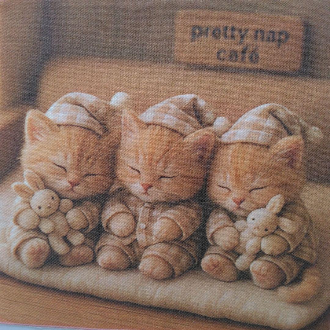 ☆受付☆猫