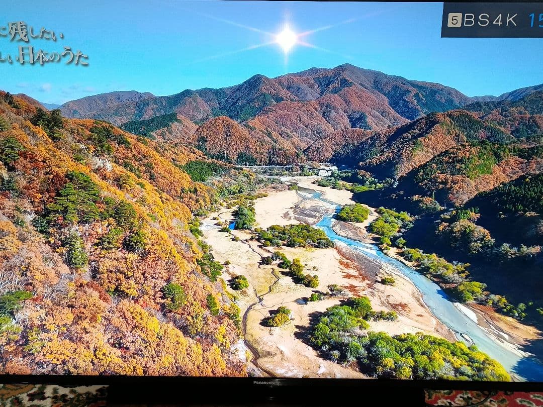 パナソニック 49V型 4K テレビ 　　　TH-49GX855
