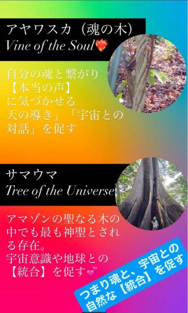 【松果体と統合セット】アヤワスカのハペ & サマウマのハペ　（各3g約6gずつ）