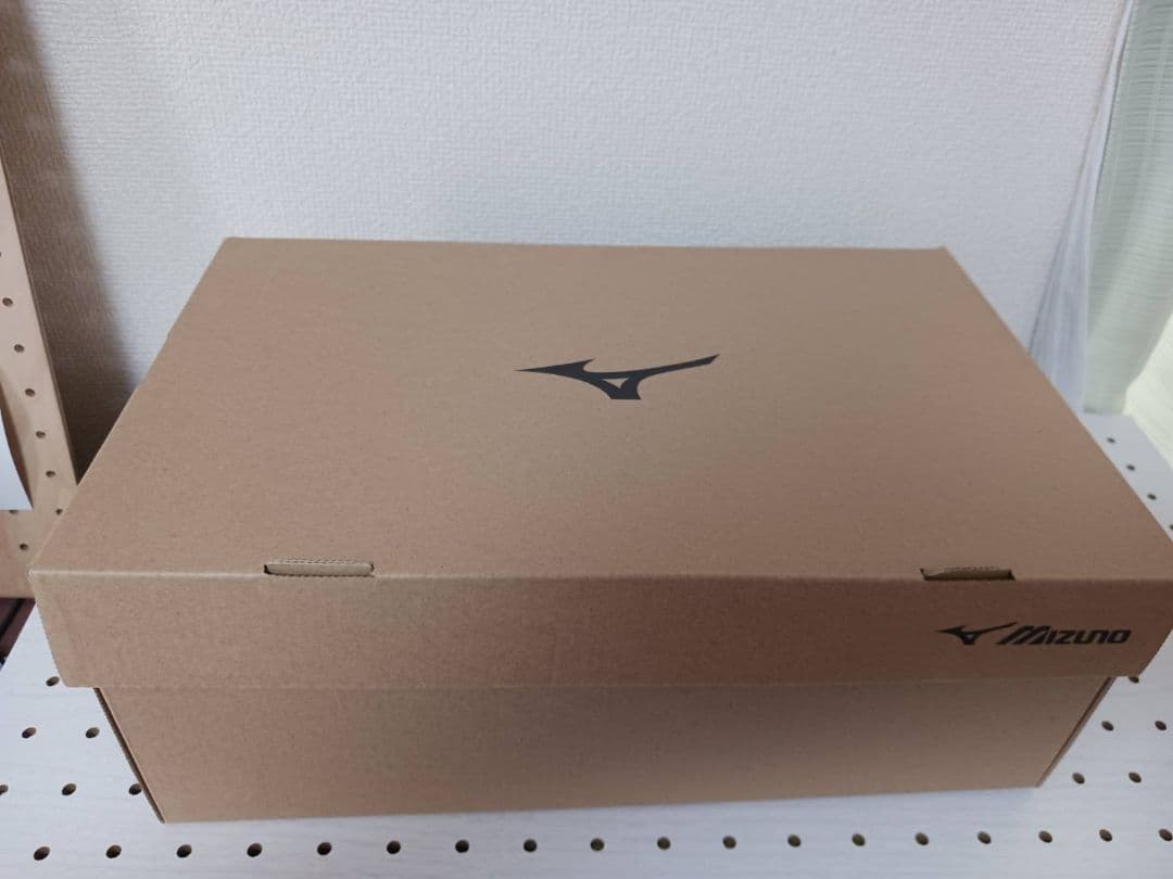 Mizuno ブラック安全靴 JSAA規格適合　２７cm　EEE