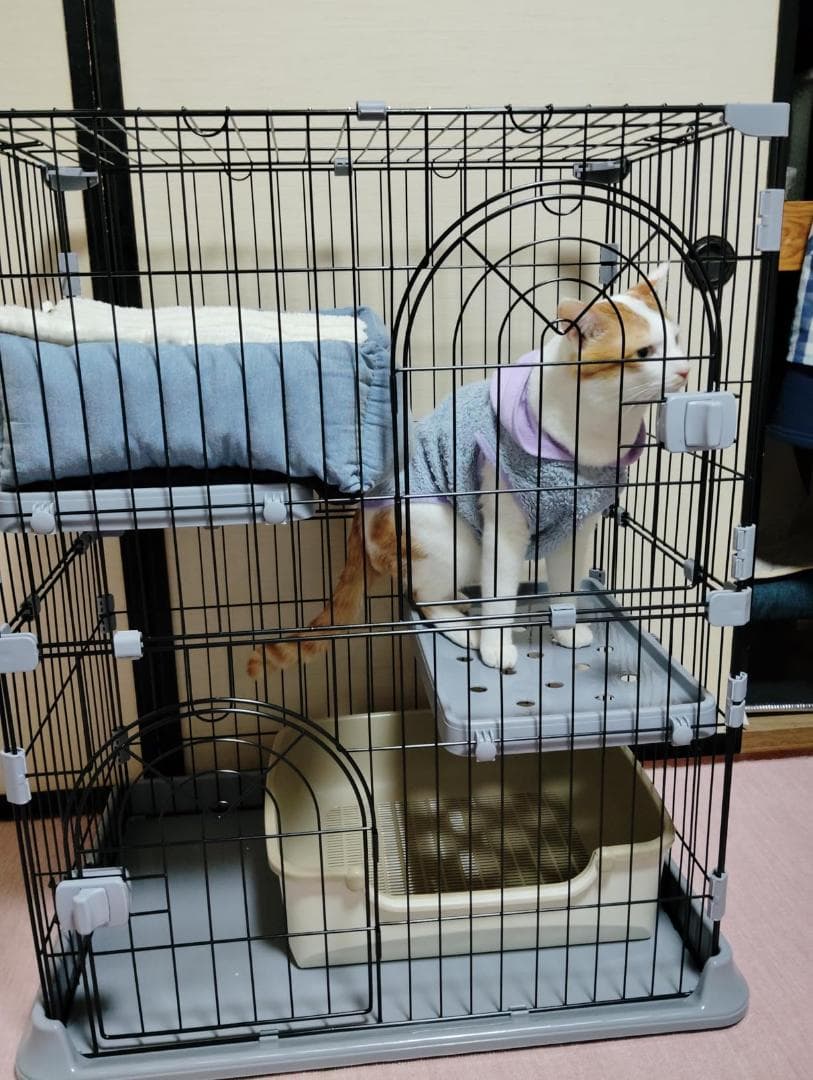 PETTOM 猫 ケージ キャットケージ ペットケージ 3段 大型 自由組み合わ