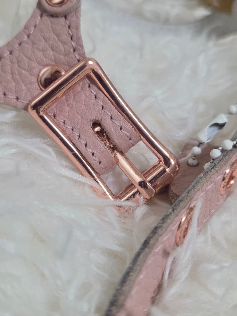 バディベルト ブラッシュ 2.5 BB リードセット BUDDY BELT
